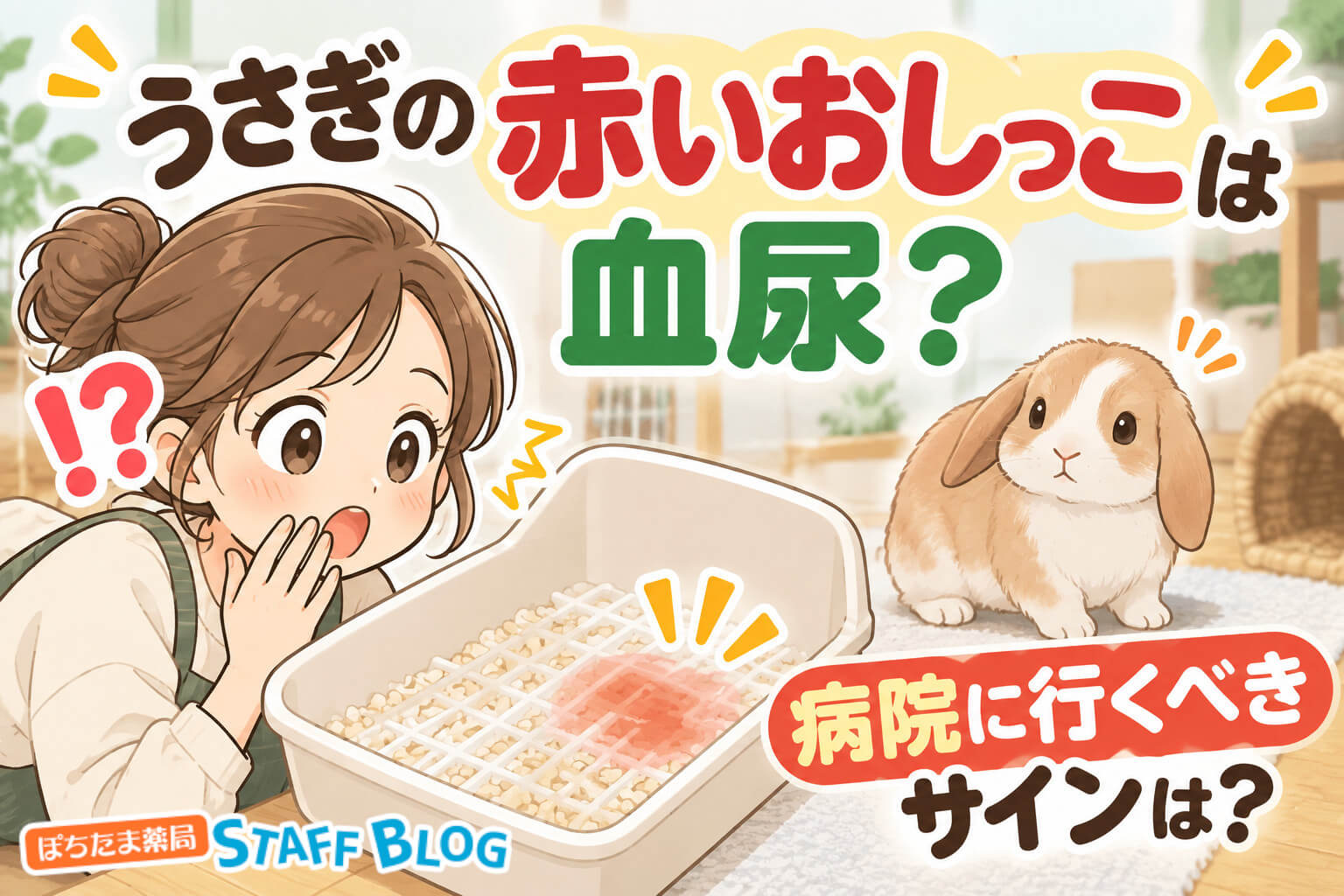 うさぎの赤いおしっこは血尿？見分け方と病院に行くべきサインを解説