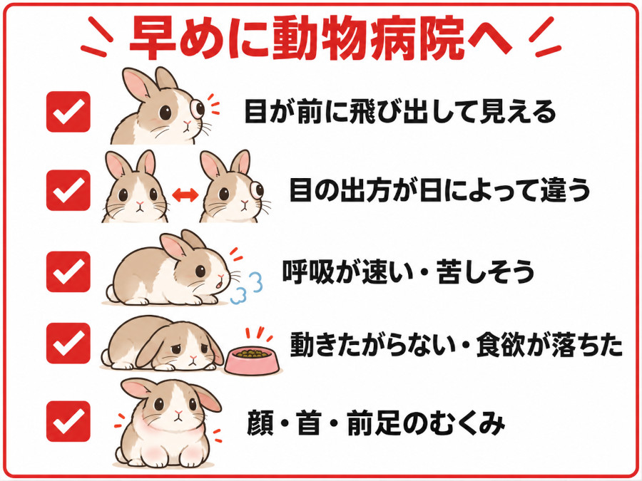 うさぎの胸腺腫で早めに受診したいサインのチェック表