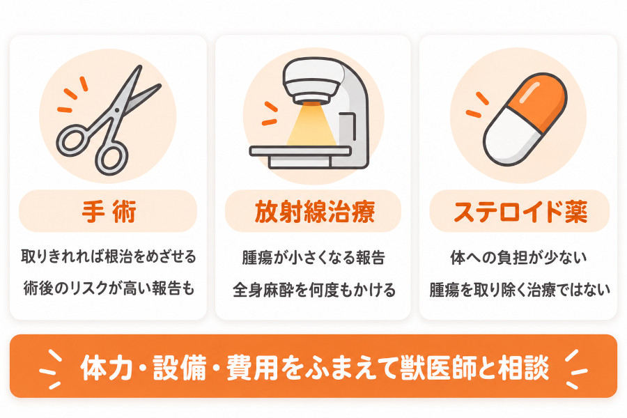 うさぎの胸腺腫の治療の3つの選択肢。手術、放射線治療、ステロイド薬のそれぞれの特徴