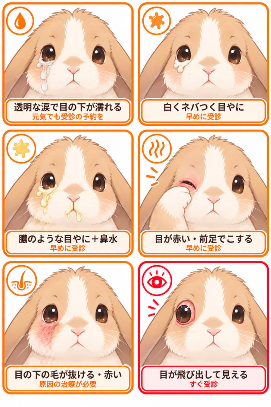 うさぎの涙・目やにの状態別チャート。透明な涙、白い目やに、膿のような目やに、目の赤み、涙やけ、目の突出の6パターンと受診の目安