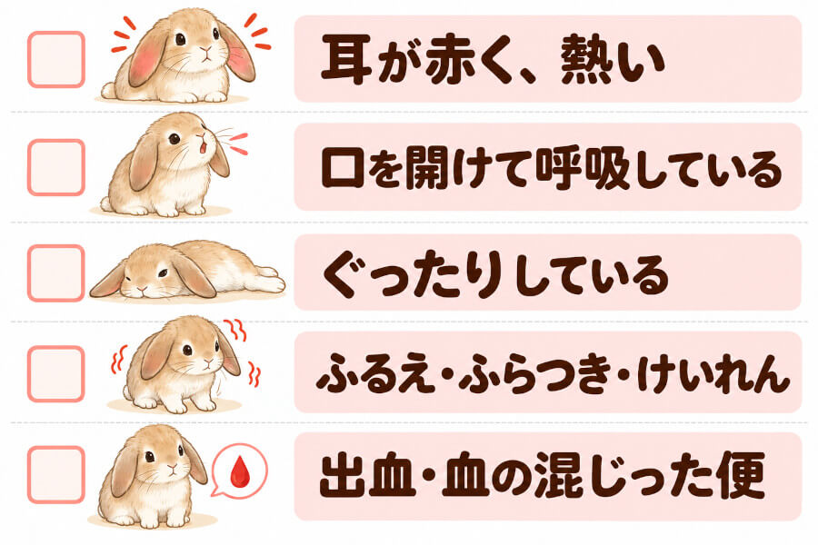 うさぎの熱中症の危険なサイン(耳が赤く熱い、口を開けた呼吸、ぐったり、ふらつき、出血)を示したチェック表