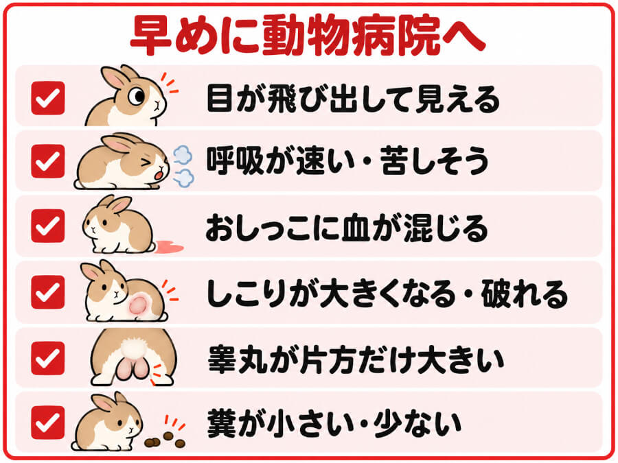 うさぎの腫瘍で早めに受診したいサインのチェック表