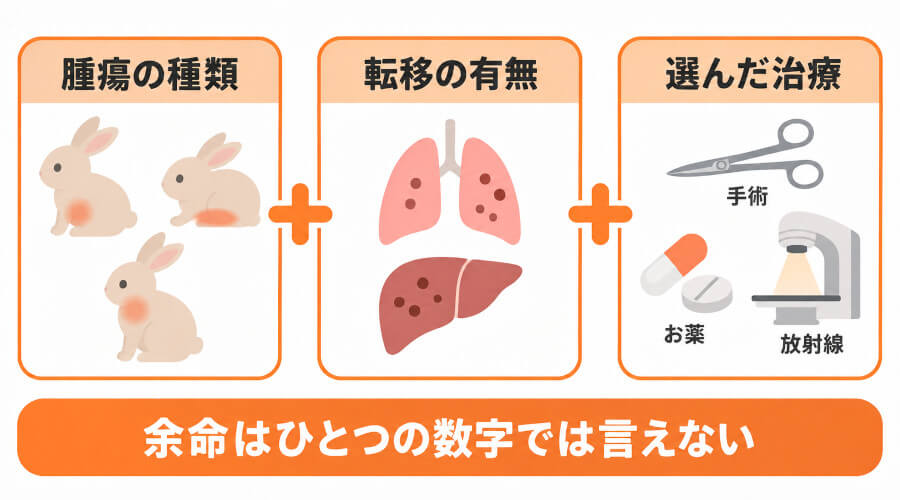 うさぎの腫瘍の余命を左右する3つの要素。腫瘍の種類、転移の有無、選んだ治療