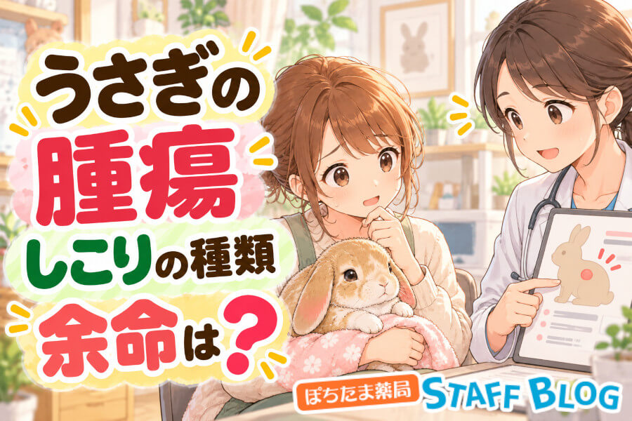 うさぎの腫瘍｜しこりの種類と余命、しこりにならない腫瘍のサイン
