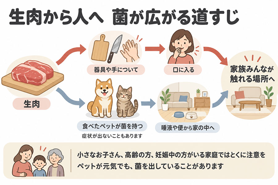 生肉から人へ感染が広がる経路。調理器具や手から口へ、ペットの唾液や便から家庭内へ