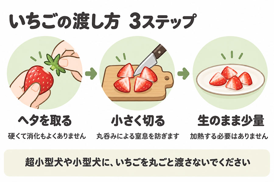 犬にいちごを与えるときの手順。ヘタを取る、小さく切る、生のまま少量。丸呑みによる窒息を防ぐため丸ごと渡さない