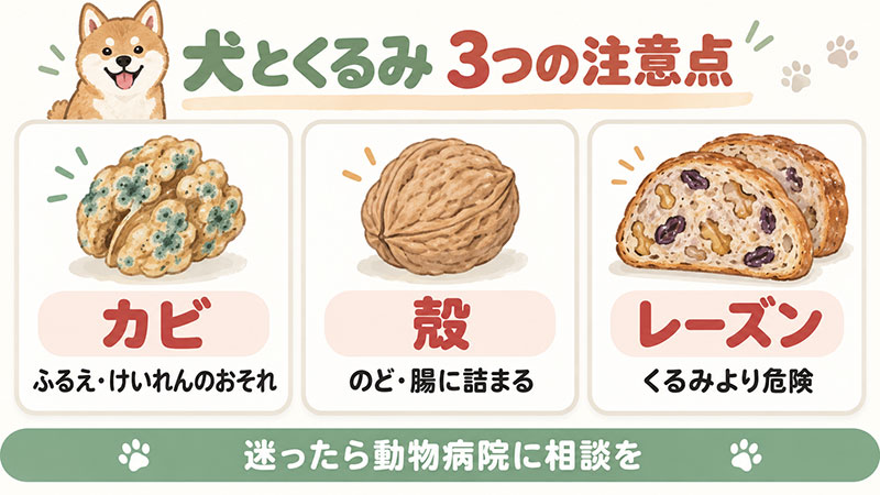 犬とくるみの3つの注意点。カビは震えやけいれんのおそれ、殻はのどや腸に詰まる、くるみパンのレーズンはくるみより危険