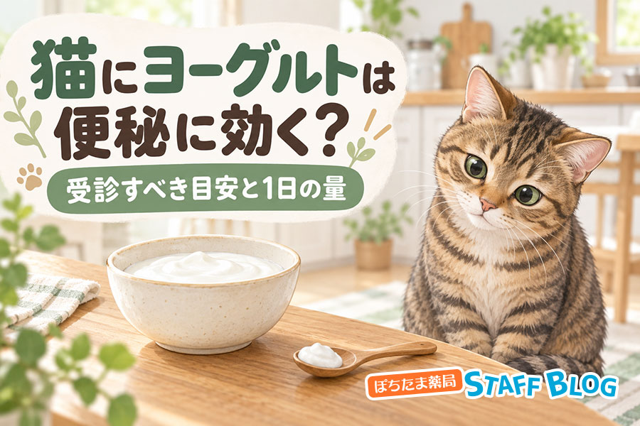 猫にヨーグルトは便秘に効く?受診すべき目安と1日の量