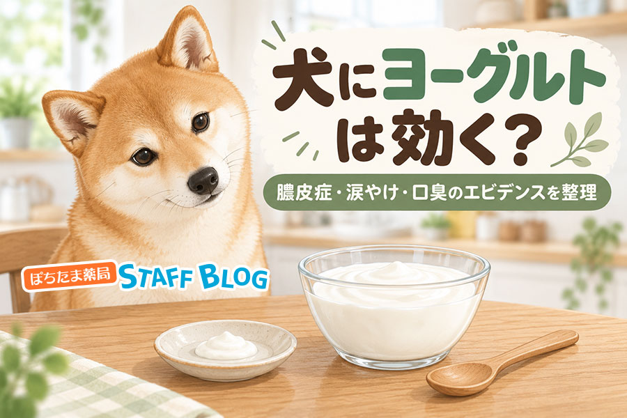 犬にヨーグルトは効く？膿皮症・涙やけ・口臭のエビデンスを整理