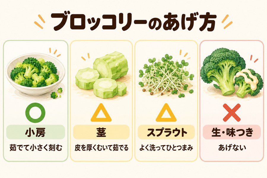 犬にブロッコリーをあげるときの部位ごとの扱い。小房は茹でて小さく切る、茎は皮を厚くむいて茹でる、スプラウトはよく洗ってひとつまみ、生と味つきはあげない