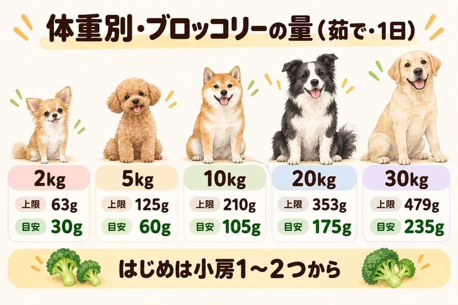 犬の体重別のブロッコリーの目安。カロリー上の上限は5kgで約125g、実際の目安はその半分以下の約60g。はじめは小房1〜2つから