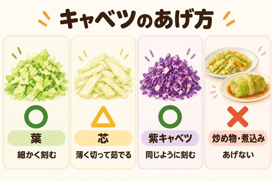 犬にキャベツをあげるときの部位ごとの扱い。葉は生でも茹ででも細かく刻む、芯は薄く切って茹でる、紫キャベツも同じように刻む、野菜炒めやロールキャベツはあげない