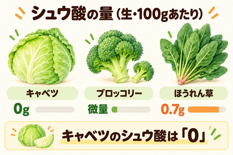 100gあたりのシュウ酸。キャベツ(生)0g、ブロッコリー(生)微量、ほうれん草(生)0.7g