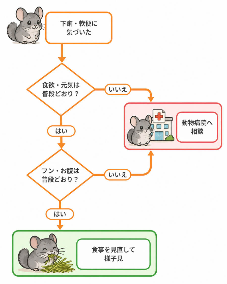チンチラの下痢・軟便に気づいたときの判定フロー。食欲や元気、フンの量やお腹の張りを確認し、様子見か動物病院への相談かを判断する
