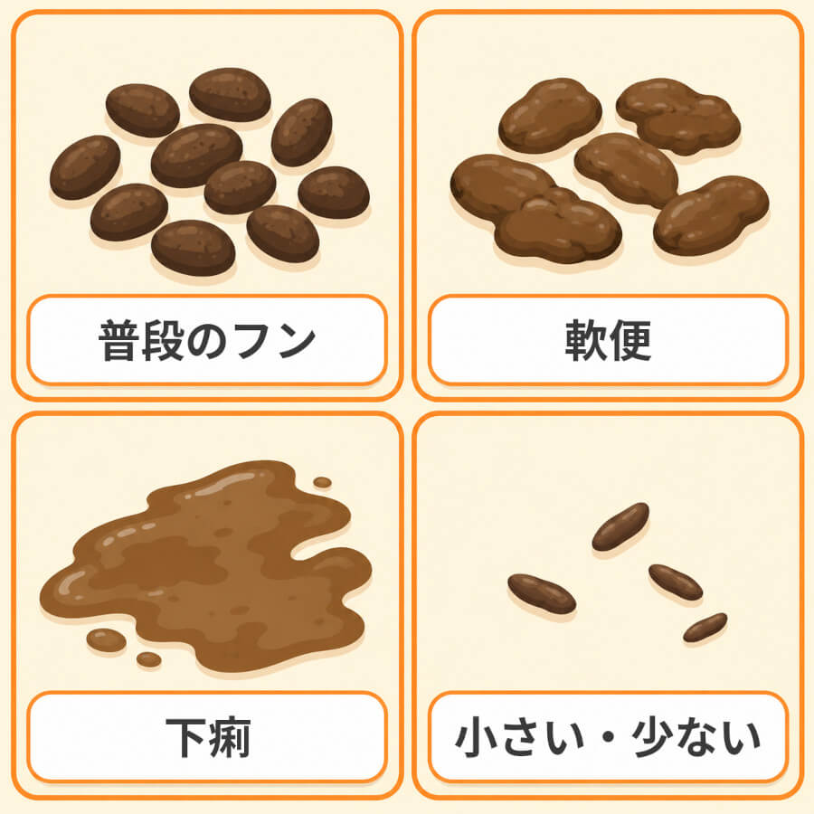 チンチラのフンの見分け方。形のそろった普段のフン、柔らかくつぶれる軟便、形のない下痢、小さく数が少ないフンの4種類を比較した図