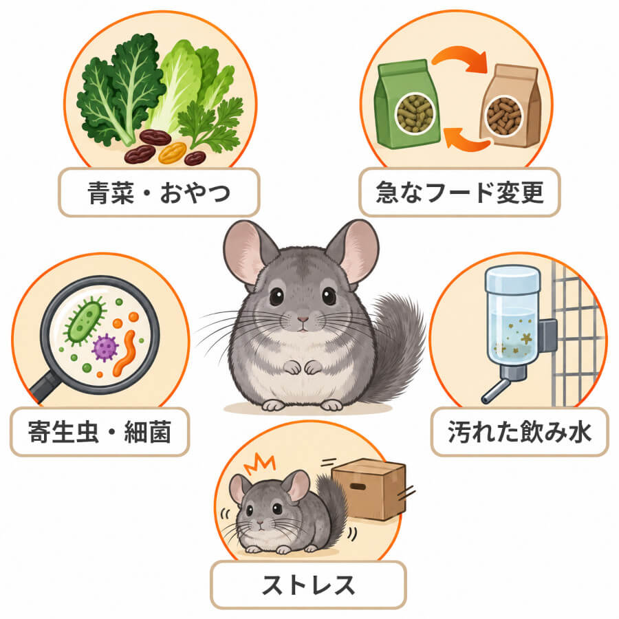 チンチラの下痢・軟便の主な原因。青菜やおやつの与えすぎ、急なフードの切り替え、寄生虫や細菌、汚れた飲み水、ストレスの5つ