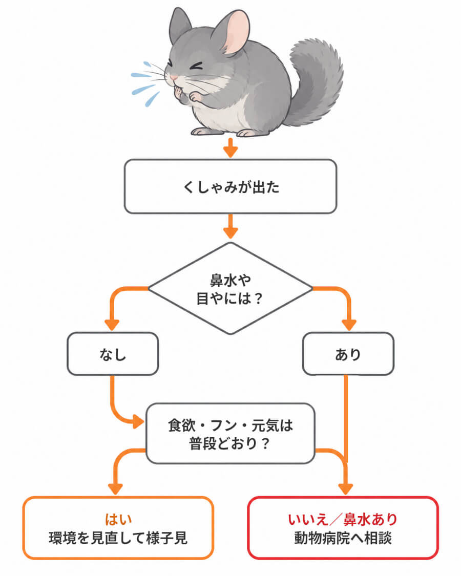 チンチラのくしゃみ・鼻水が出たときの判定フロー。鼻水や目やにの有無、食欲とフンの状態で様子見か受診かを判断する