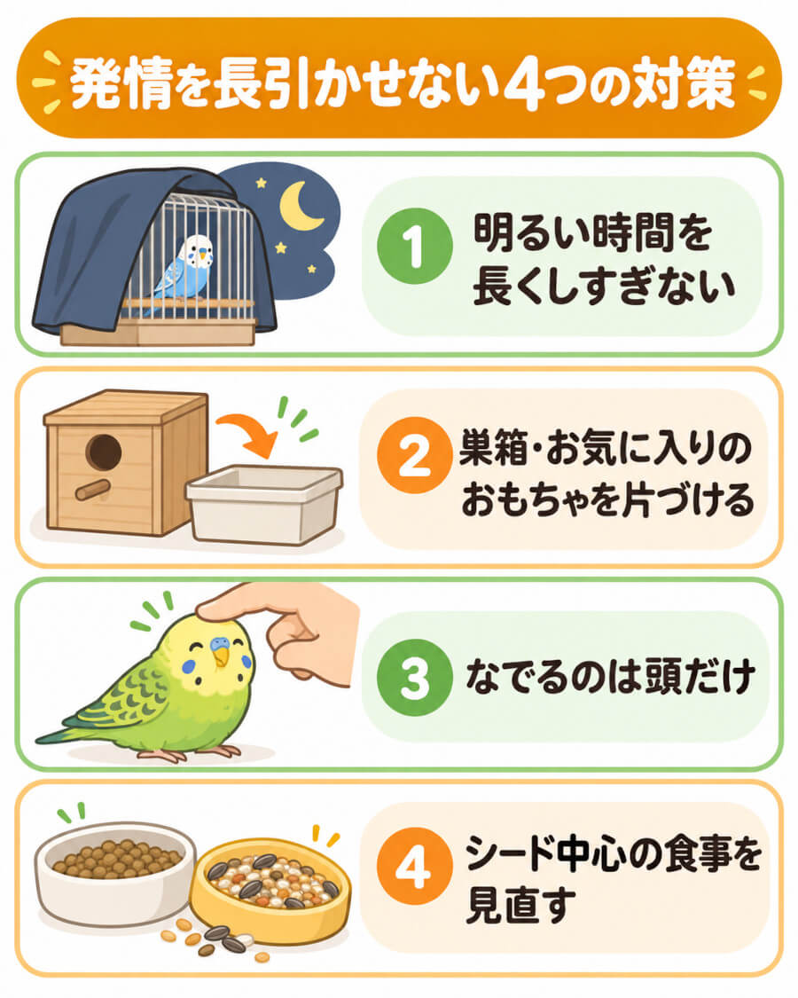 卵詰まりを防ぐ発情対策（明るい時間を長くしない、巣箱を片づける、なでるのは頭だけ、食事を見直す）