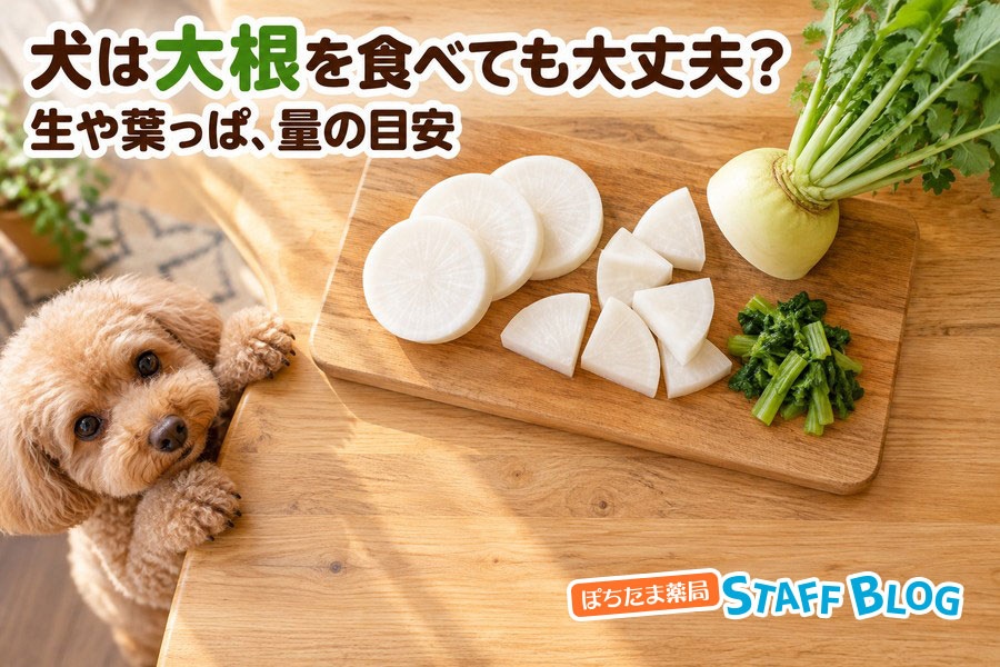犬は大根を食べても大丈夫?生や葉、あげる量に注意
