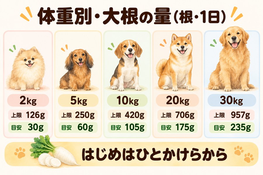 犬の体重別の大根の目安。カロリー上の上限は5kgで約250g、実際の目安は約60g。はじめはひとかけらから