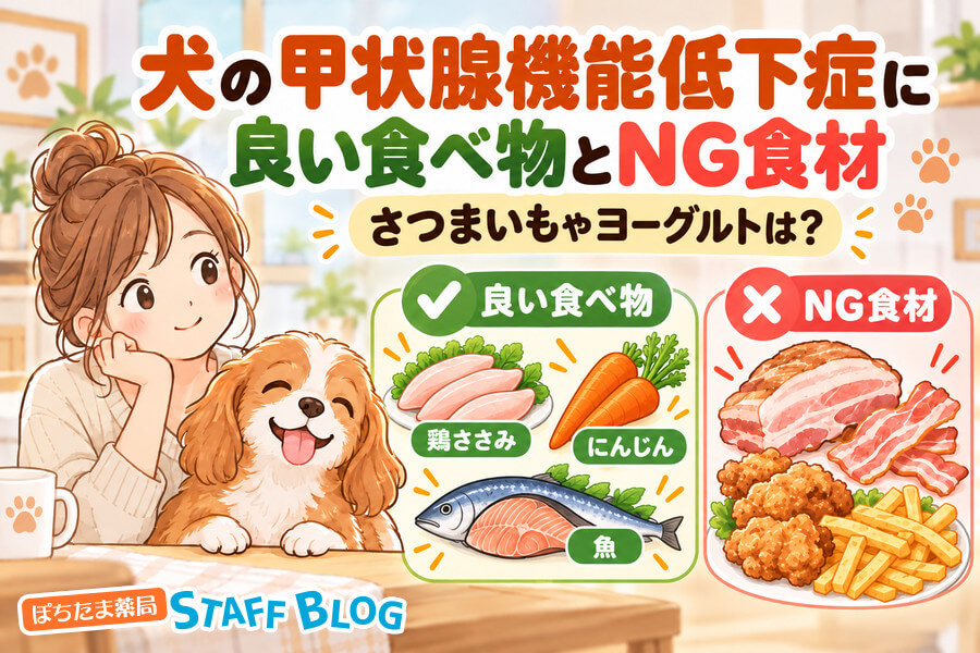 犬の甲状腺機能低下症に良い食べ物とNG食材｜さつまいも・ヨーグルトは？