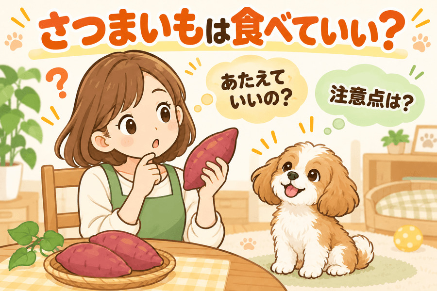 さつまいもは食べていい?
