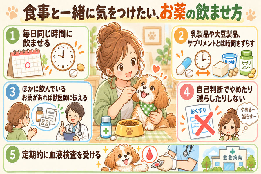 食事と一緒に気をつけたい、お薬の飲ませ方