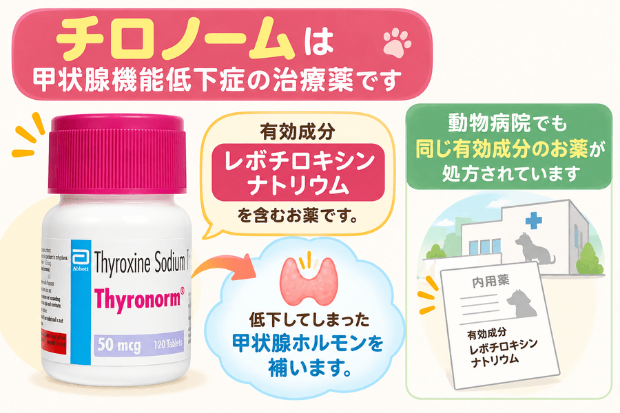 通販で購入できるお薬チロノーム