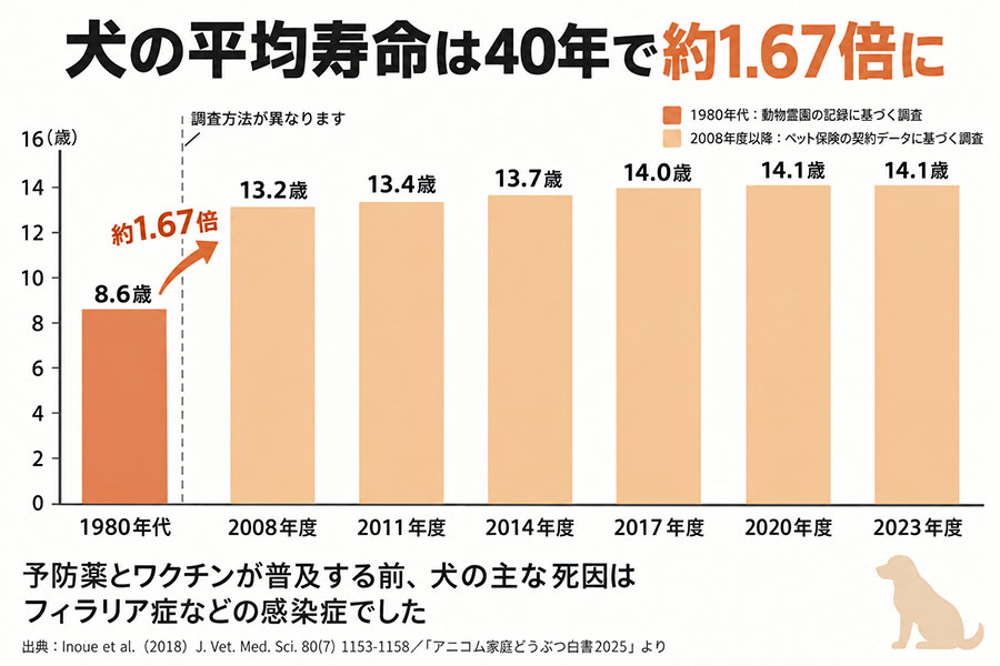 犬の平均寿命の推移