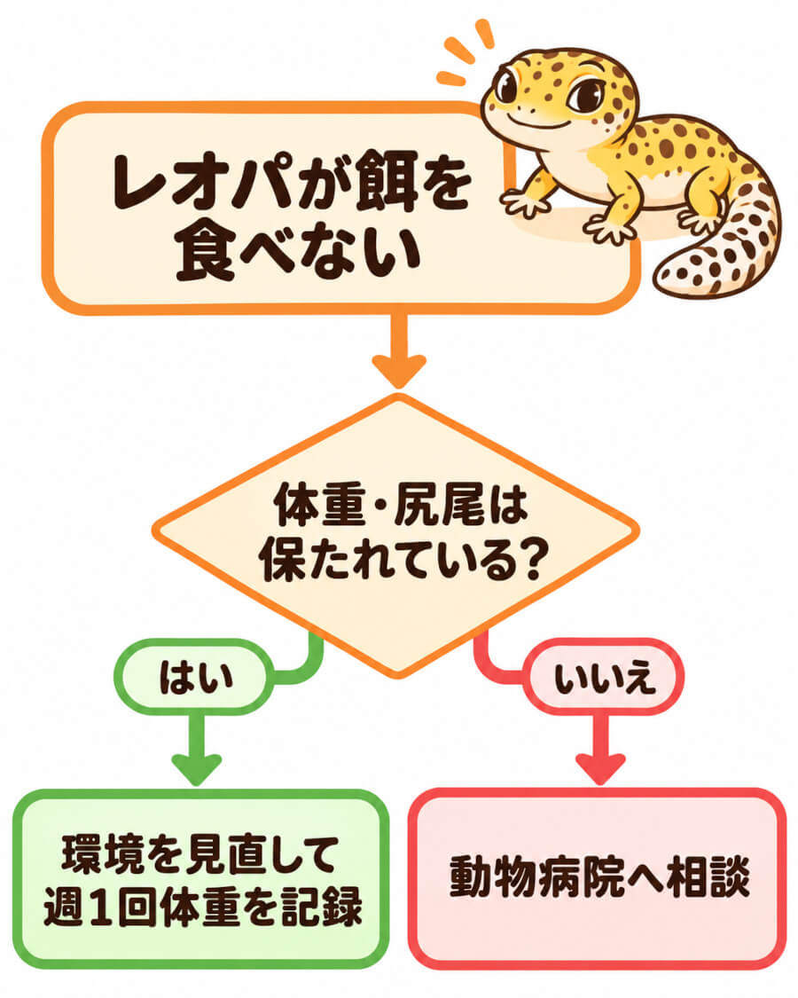 レオパが餌を食べないときに、体重と尻尾の太さで様子見か受診かを判断するフローチャート