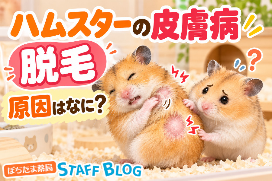 ハムスターの皮膚病・脱毛｜かゆみの有無と場所で見分ける原因