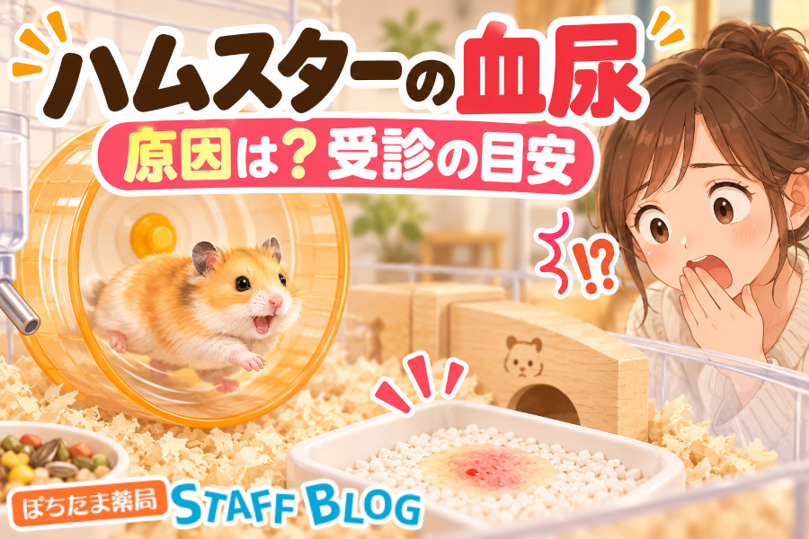 ハムスターの血尿の原因は？子宮の出血との見分け方と受診目安