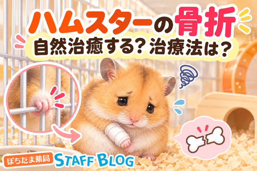 ハムスターの骨折の見分け方｜自然治癒する？受診の目安と治療