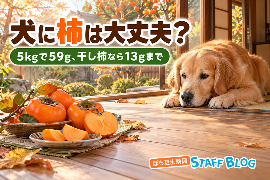 犬に柿は大丈夫か。体重5kgの犬で甘柿59g、干し柿13gまで