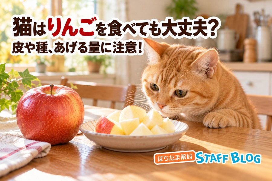 猫はりんごを食べても大丈夫?皮や種、あげる量に注意