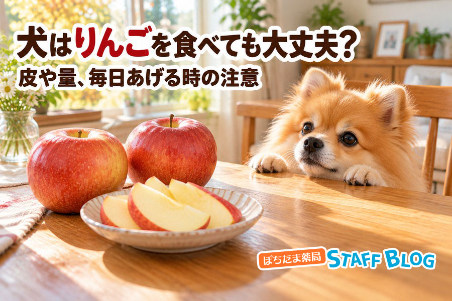 犬はりんごを食べても大丈夫?皮や量、毎日あげる時の注意