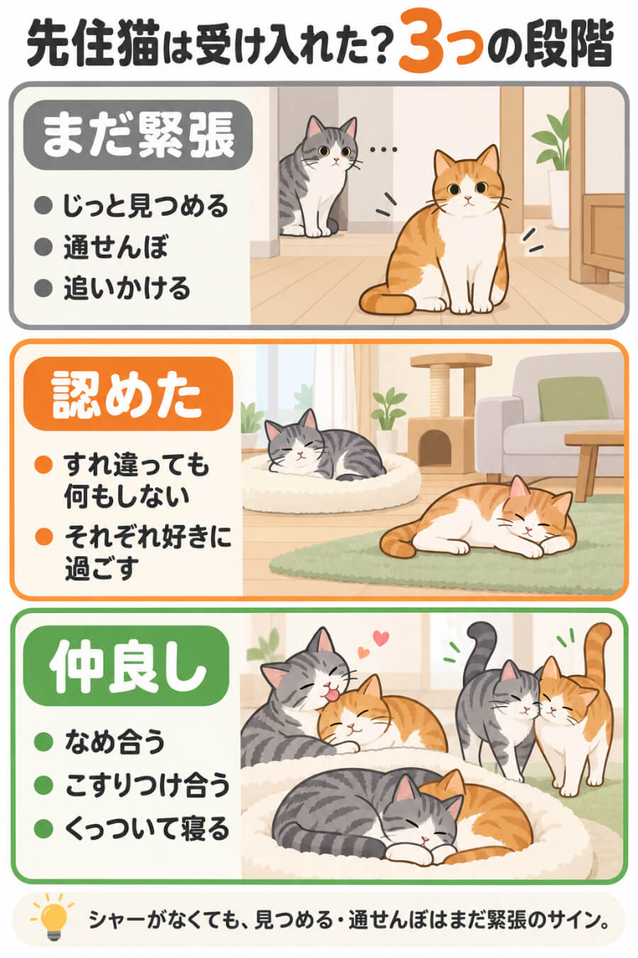 先住猫が受け入れたかどうかの見分け方（まだ緊張・認めた・仲良しの3段階のサイン）