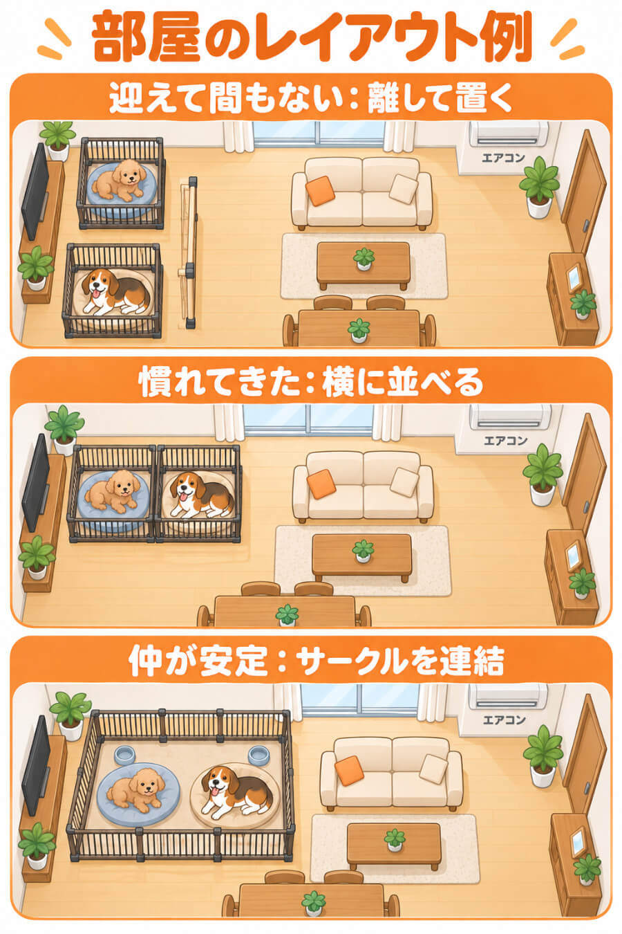 犬の多頭飼いのケージ配置3パターン(迎えて間もない時期は離して置く・慣れてきたら横に並べる・仲が安定したらサークルを連結)