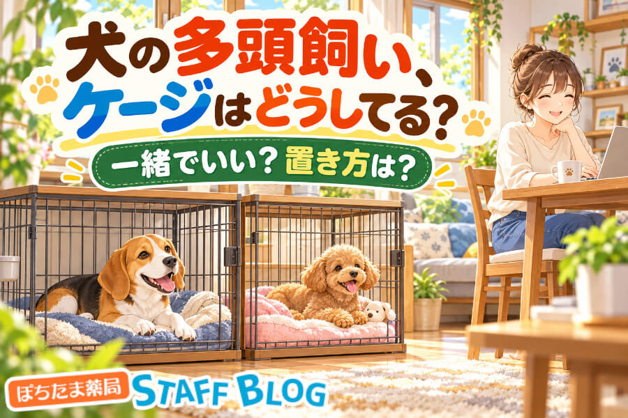 犬の多頭飼い、ケージはどうしてる？一緒か別かの決め方と置き方・配置のコツを解説