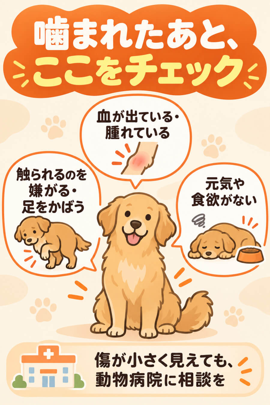 後住犬に噛まれたあと動物病院への相談を考えたいサイン（出血・腫れ、触られるのを嫌がる、元気や食欲がない）