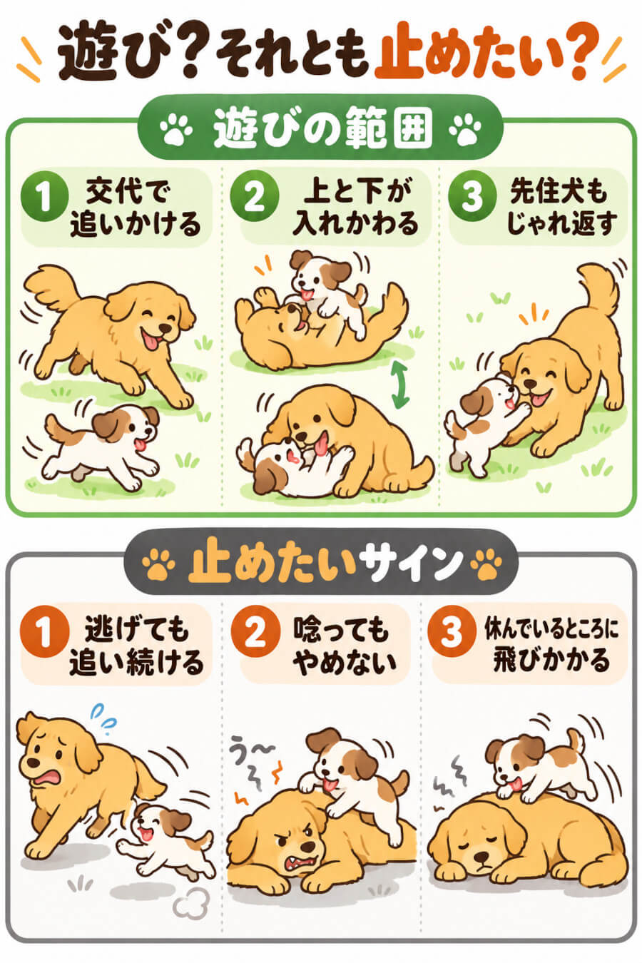 後住犬の行動が遊びの範囲か止めたいサインかの見分け方（噛む・吠える・飛びかかる・追いかける）