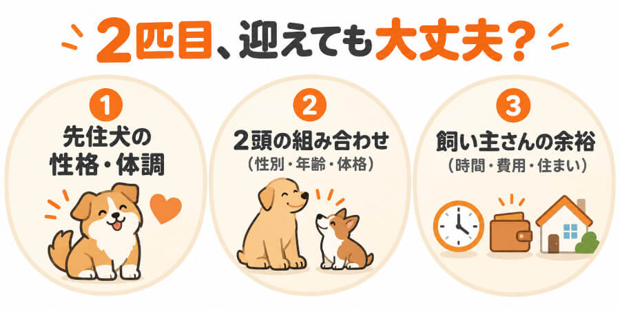 多頭飼いに向くかを判断する3つの視点(先住犬の性格・2頭の組み合わせ・飼い主さんの余裕)
