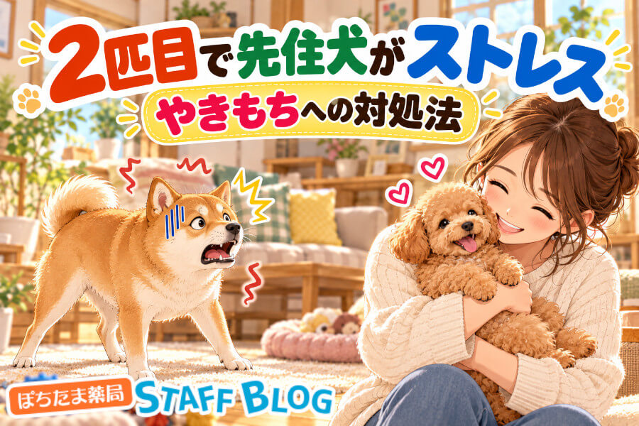 2匹目の犬で先住犬がストレス？症状とやきもちへの対処を解説