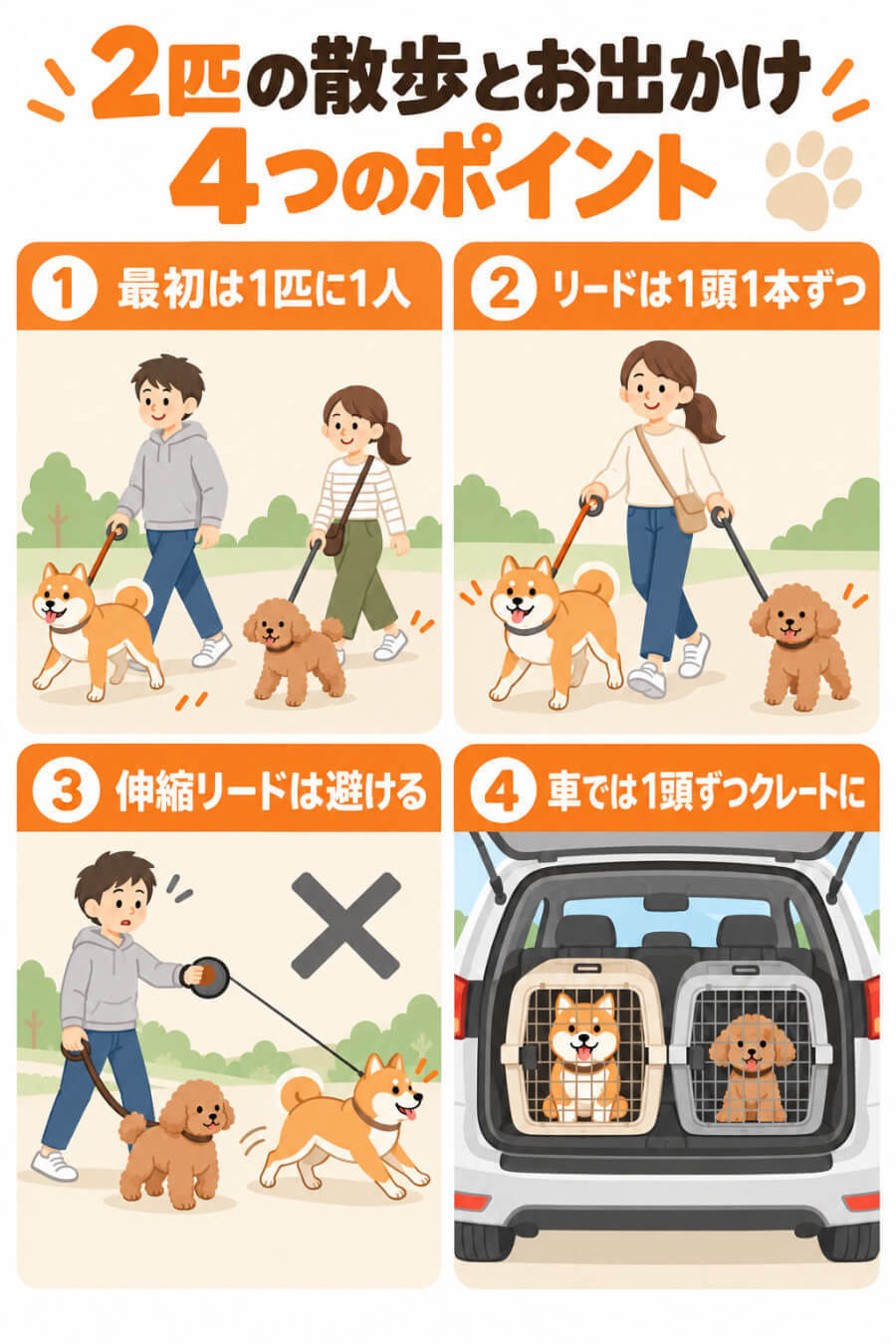 多頭飼いの散歩と車移動 4つのポイント（最初は1匹に1人・リードは1頭1本ずつ・伸縮リードは避ける・車では1頭ずつクレートに）