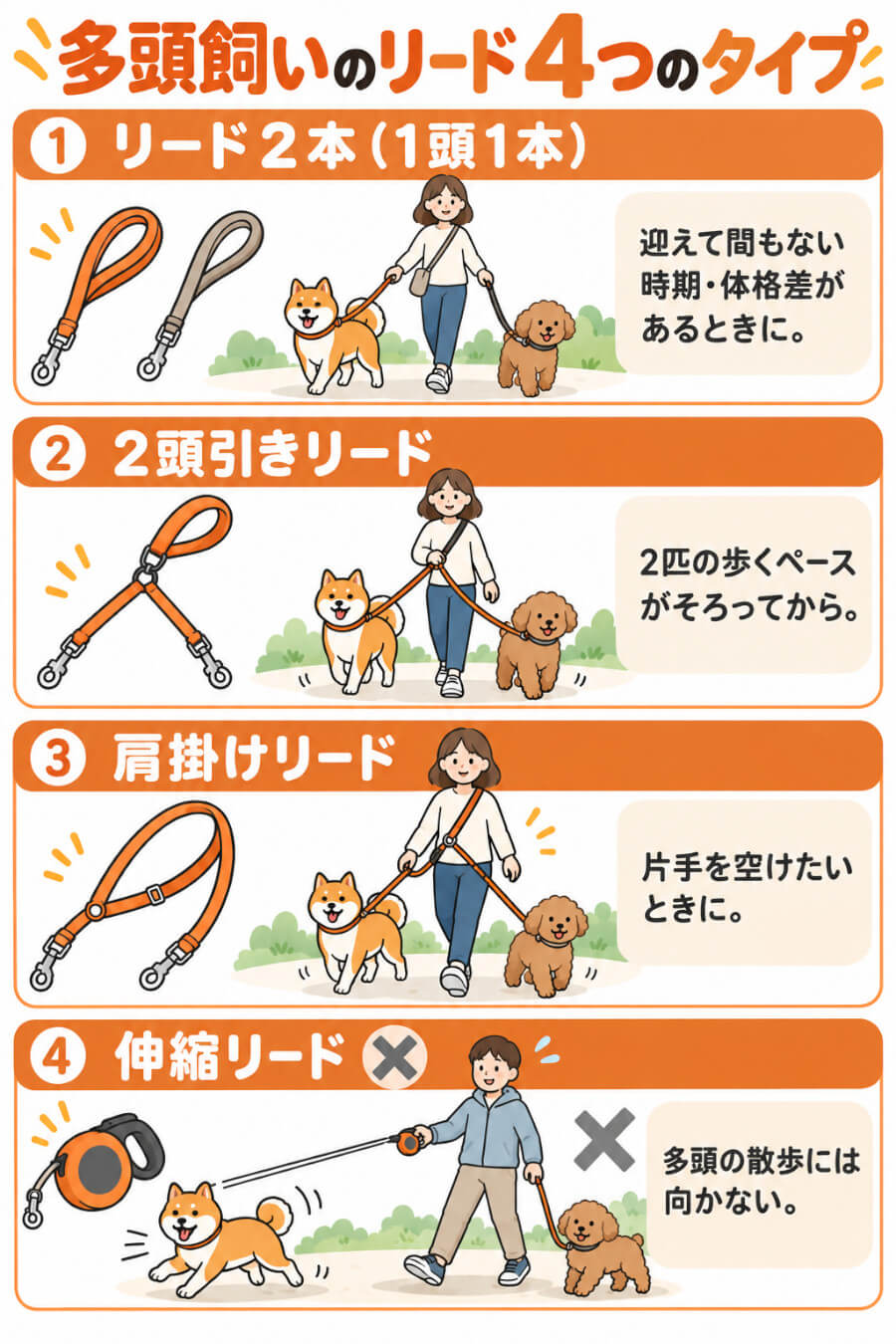 多頭飼いのリードの種類（リード2本・2頭引きリード・肩掛けリード・伸縮リード）と向いている場面